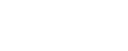light logo
